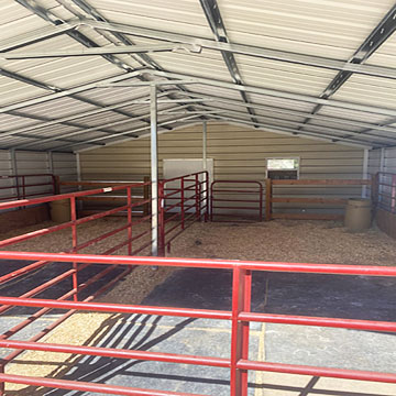 Horse Boarding
