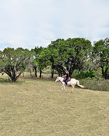 Photo View