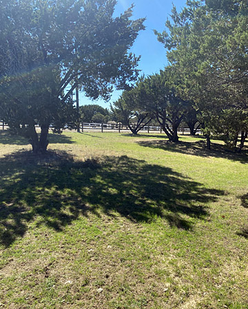 Photo View